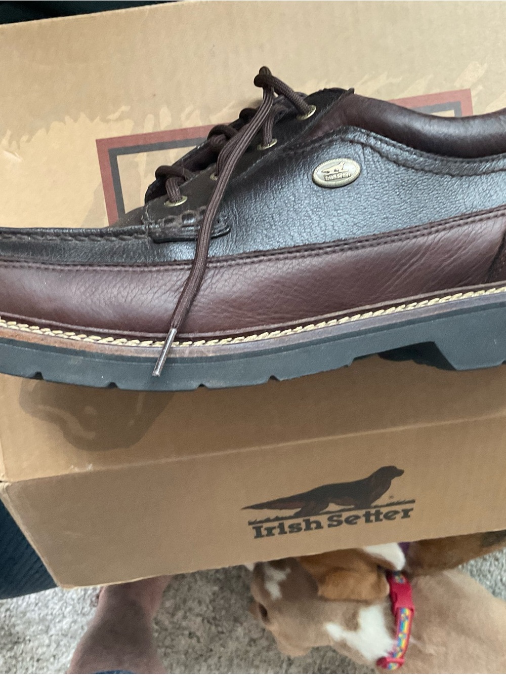 Irish Setter Men's Brown Leather Slip-On Moc Toe Casual Shoe